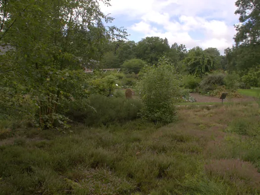 Botanische tuinen Münster (Duitsland)